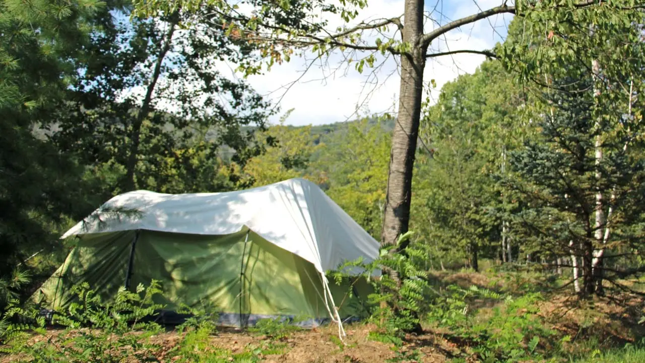 LE BETULLE VILLAGGIO NATURISTA